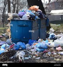 Best Residential Junk Removal  in High Point, FL
